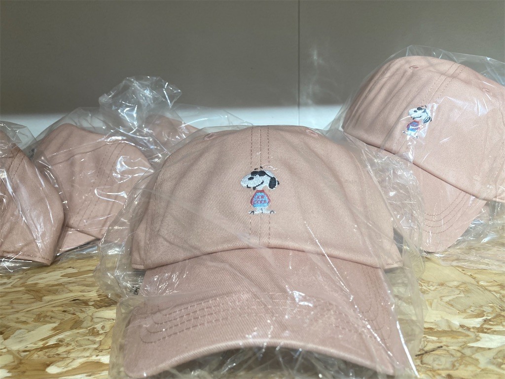 f:id:Magnoliarida:20210920091736j:image