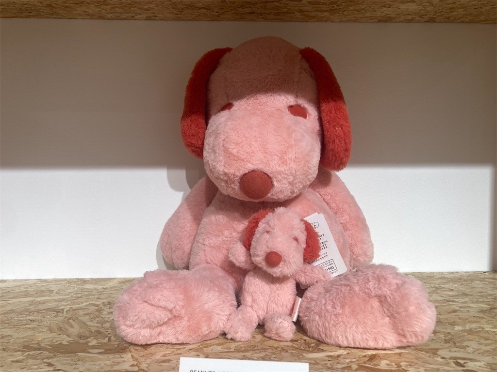 f:id:Magnoliarida:20210920091937j:image