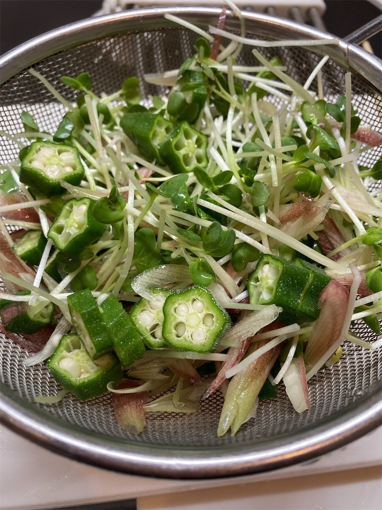 f:id:Magnoliarida:20210926075300j:image