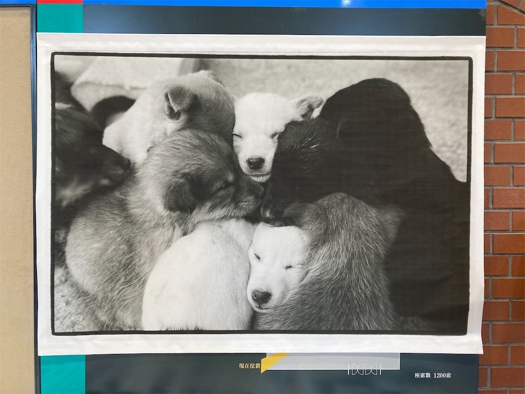 f:id:Magnoliarida:20211002214419j:image