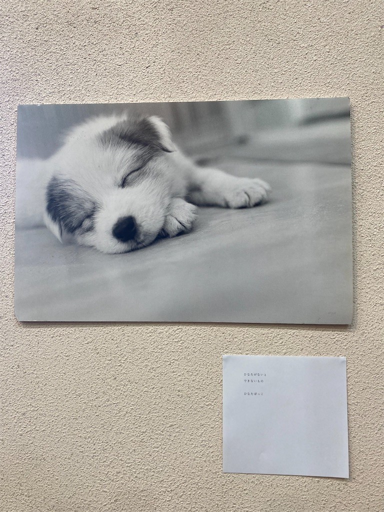 f:id:Magnoliarida:20211002214428j:image