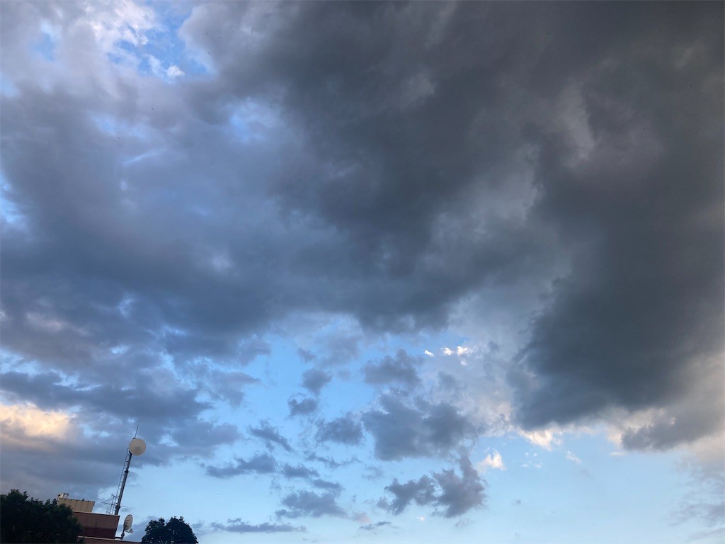 f:id:Magnoliarida:20211002214504j:image