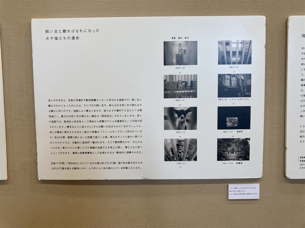 f:id:Magnoliarida:20211002220135j:image