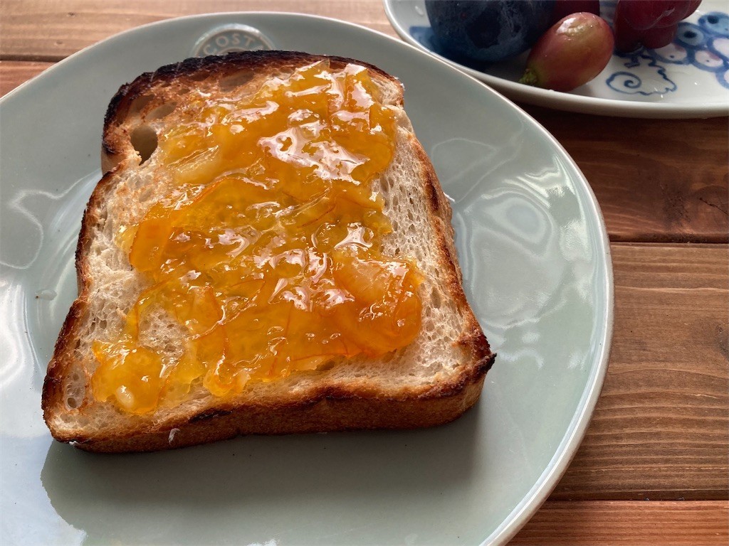 f:id:Magnoliarida:20211006083325j:image