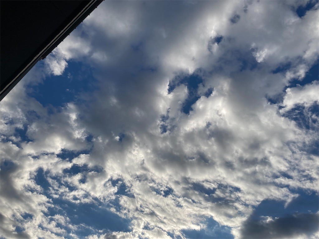 f:id:Magnoliarida:20211021074026j:image