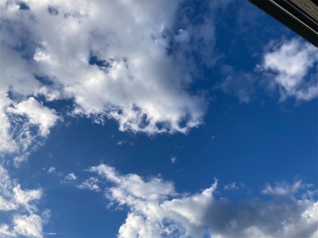 f:id:Magnoliarida:20211021074028j:image