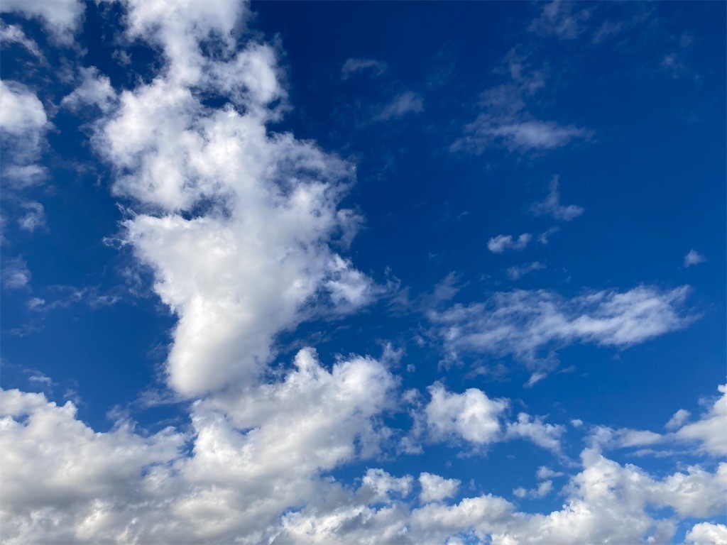 f:id:Magnoliarida:20211021082518j:image