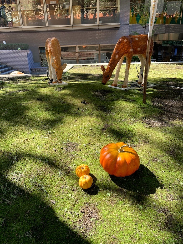 f:id:Magnoliarida:20211024203623j:image