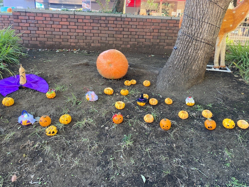 f:id:Magnoliarida:20211024204031j:image