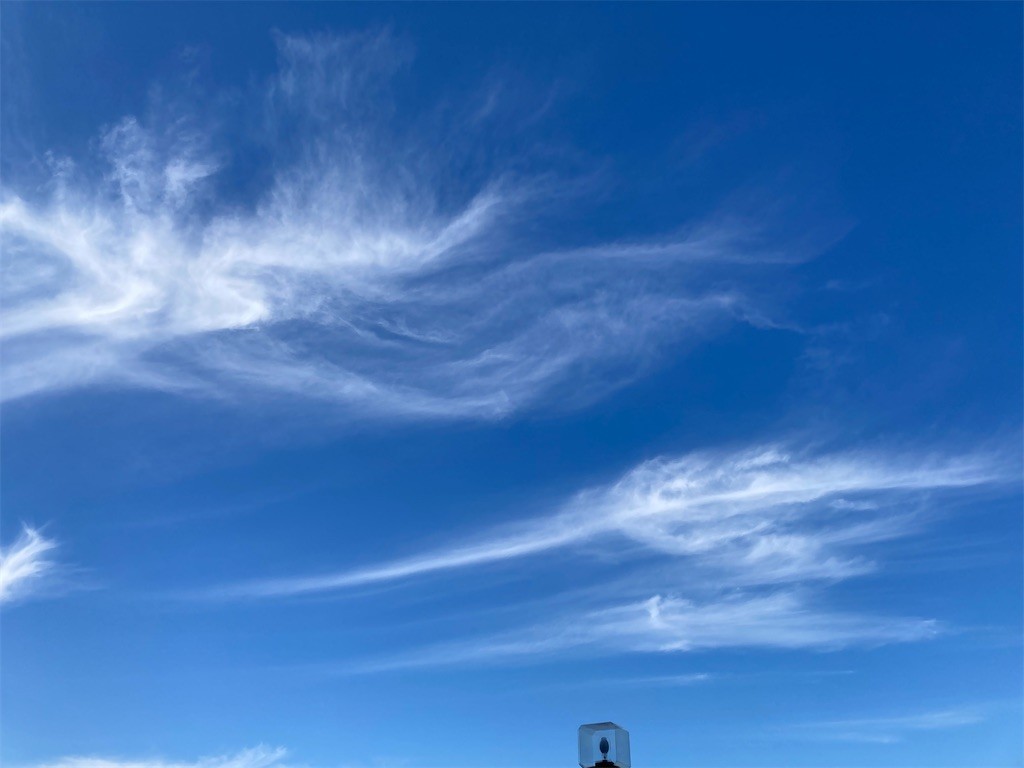 f:id:Magnoliarida:20211024204044j:image