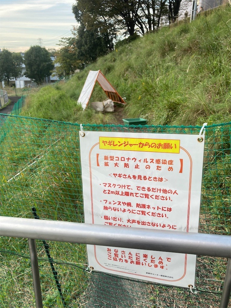 f:id:Magnoliarida:20211024204540j:image