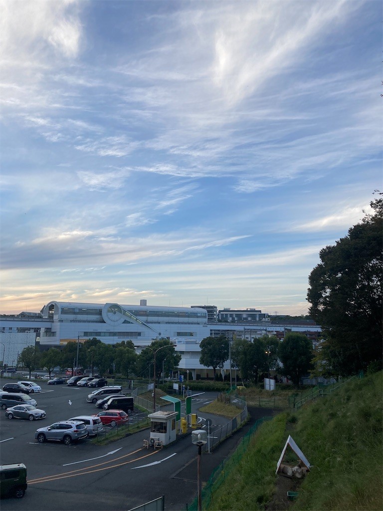 f:id:Magnoliarida:20211024204602j:image