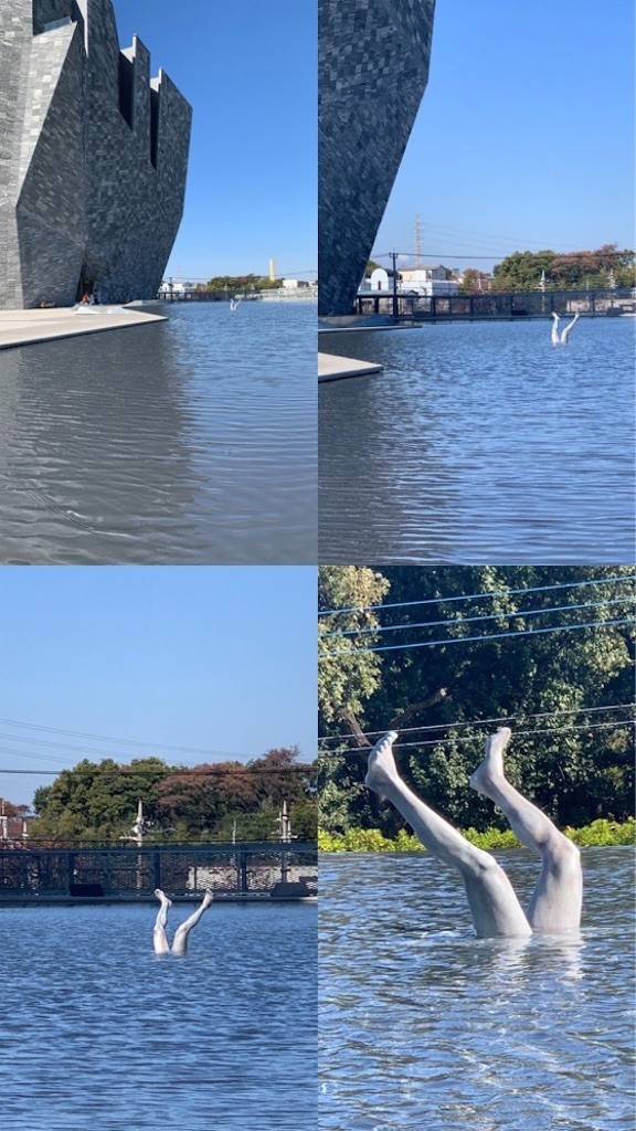 f:id:Magnoliarida:20211107095454j:image f:id:Magnoliarida:20211107095454j:image