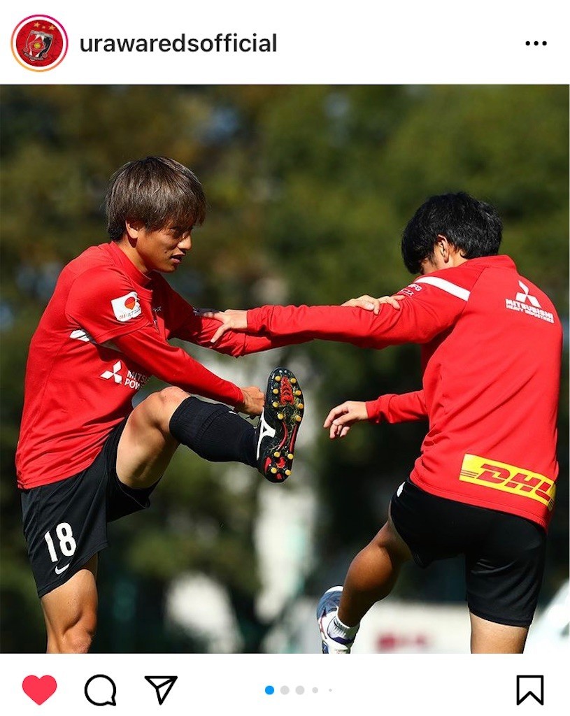 f:id:Magnoliarida:20211107103841j:image f:id:Magnoliarida:20211107103841j:image