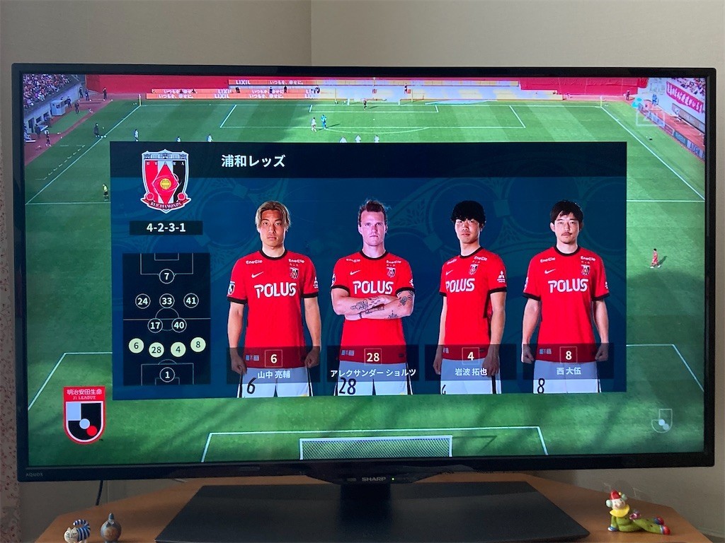 f:id:Magnoliarida:20211107150428j:image f:id:Magnoliarida:20211107150428j:image