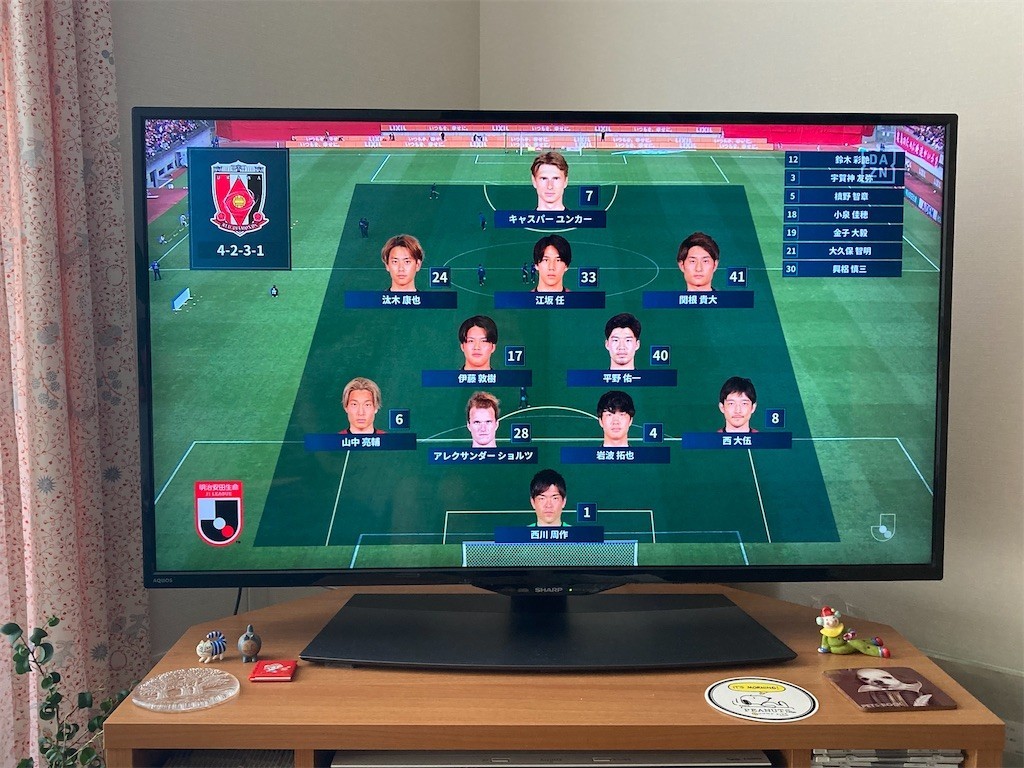 f:id:Magnoliarida:20211107150440j:image f:id:Magnoliarida:20211107150440j:image