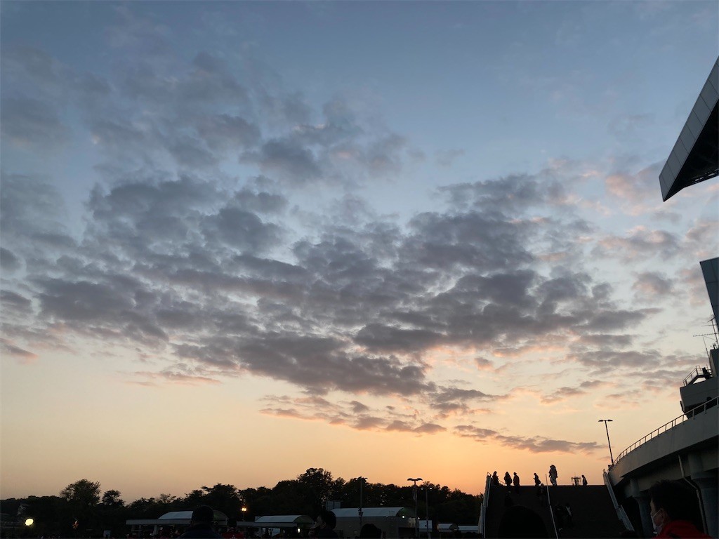 f:id:Magnoliarida:20211120211847j:image f:id:Magnoliarida:20211120211847j:image