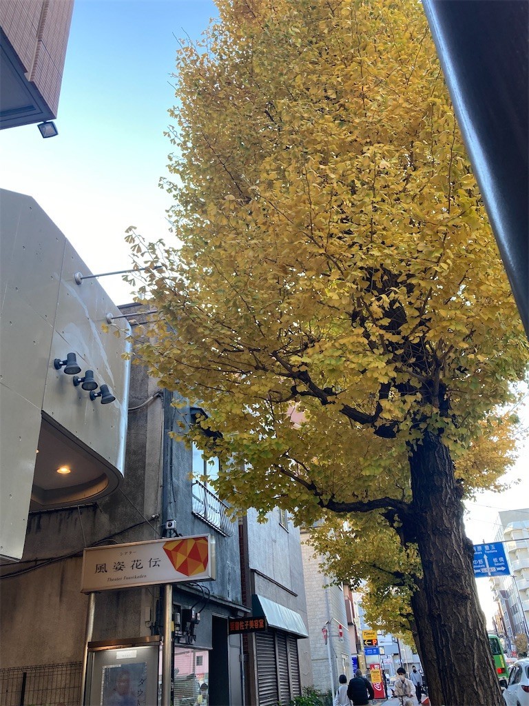 f:id:Magnoliarida:20211209172223j:image f:id:Magnoliarida:20211209172223j:image