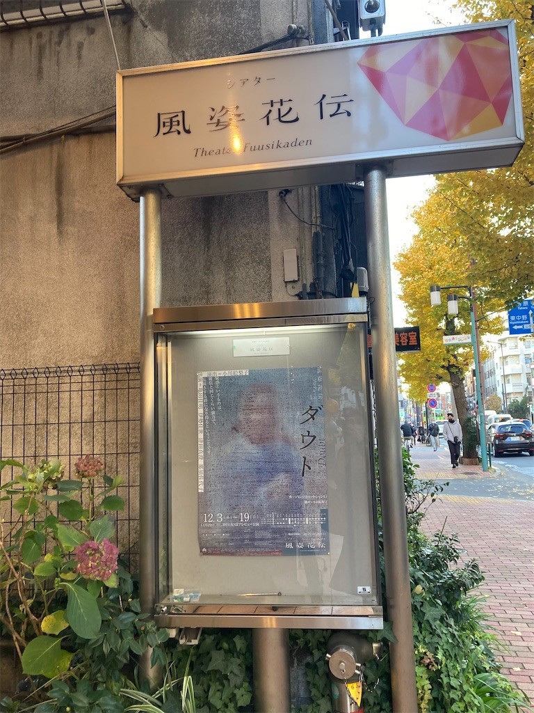 f:id:Magnoliarida:20211209172230j:image f:id:Magnoliarida:20211209172230j:image