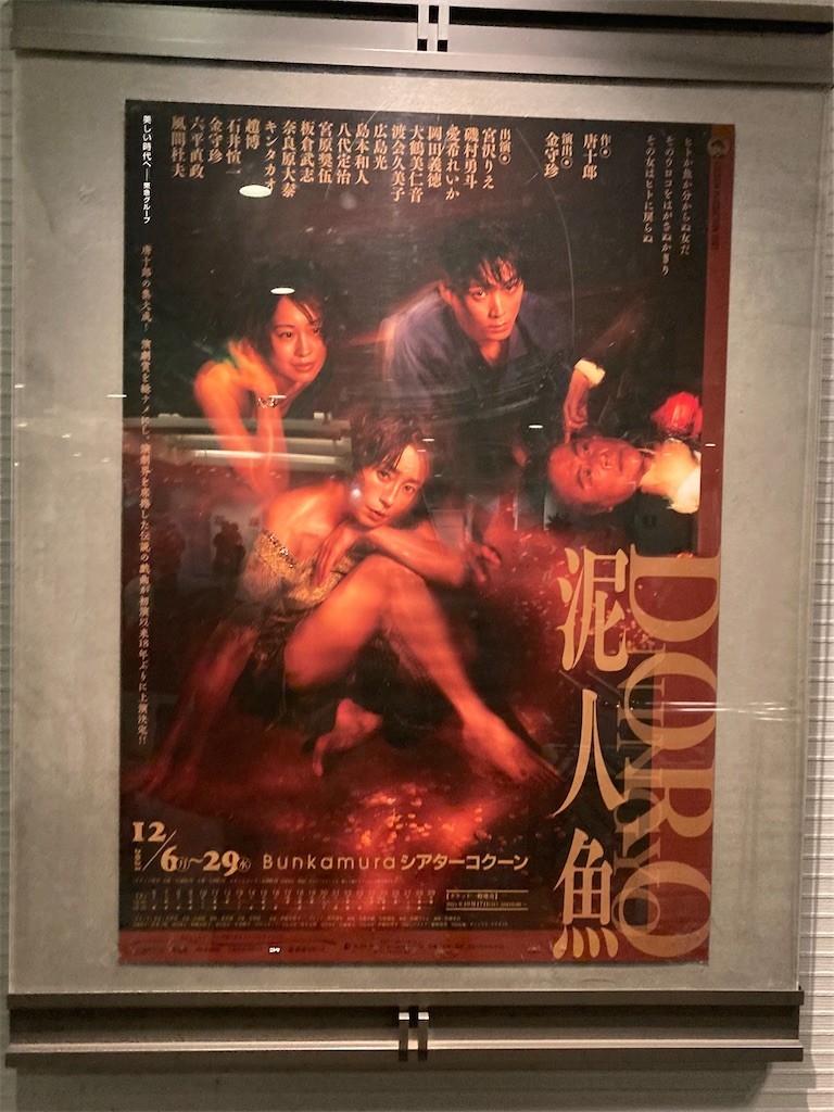 f:id:Magnoliarida:20211209233053j:image f:id:Magnoliarida:20211209233053j:image