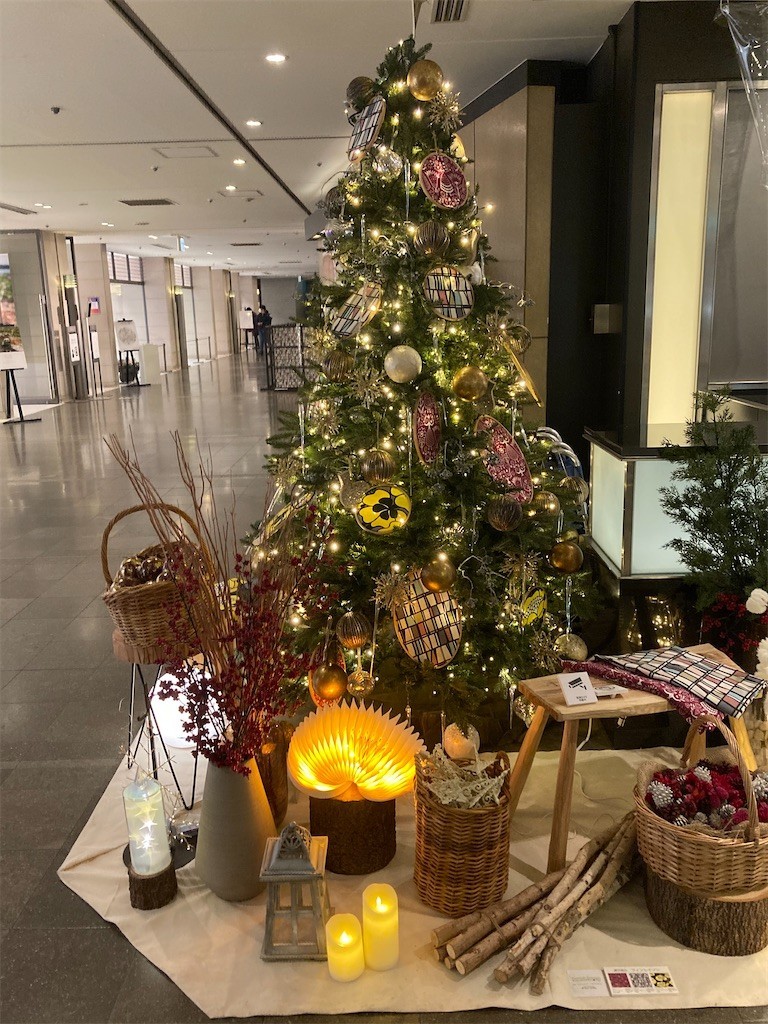 f:id:Magnoliarida:20211209233304j:image f:id:Magnoliarida:20211209233304j:image