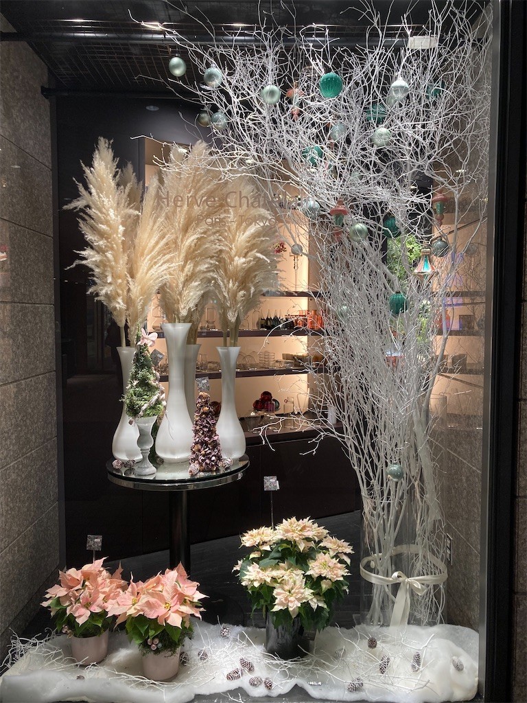 f:id:Magnoliarida:20211210003104j:image f:id:Magnoliarida:20211210003104j:image