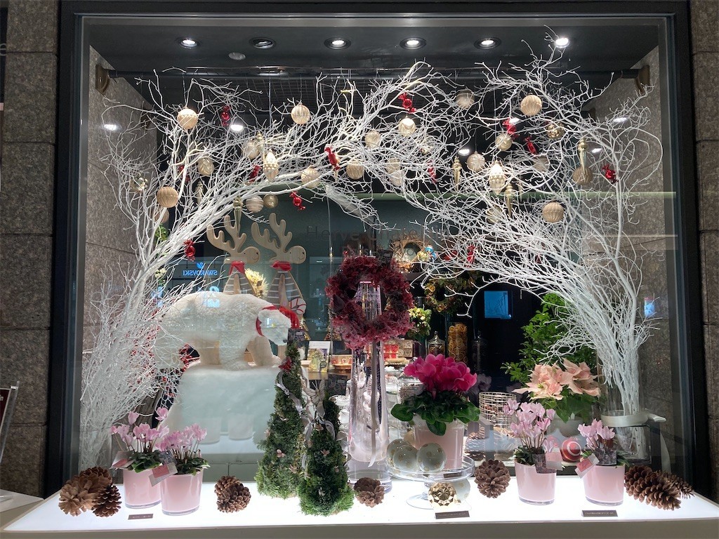 f:id:Magnoliarida:20211210003107j:image f:id:Magnoliarida:20211210003107j:image