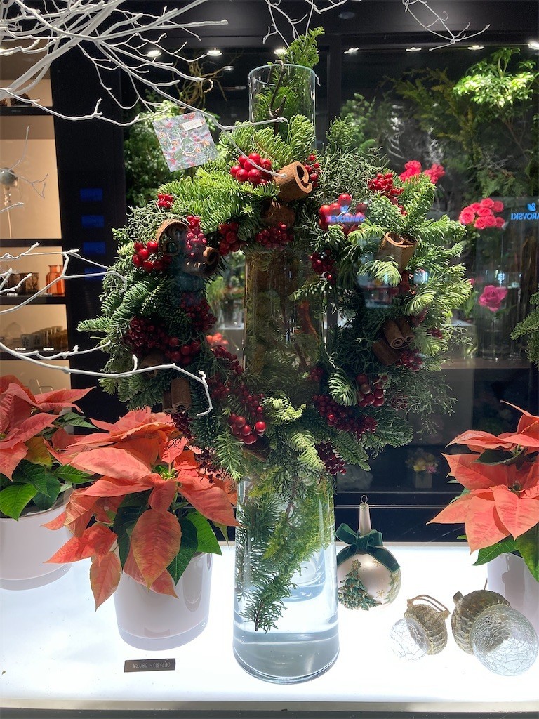 f:id:Magnoliarida:20211210003110j:image f:id:Magnoliarida:20211210003110j:image