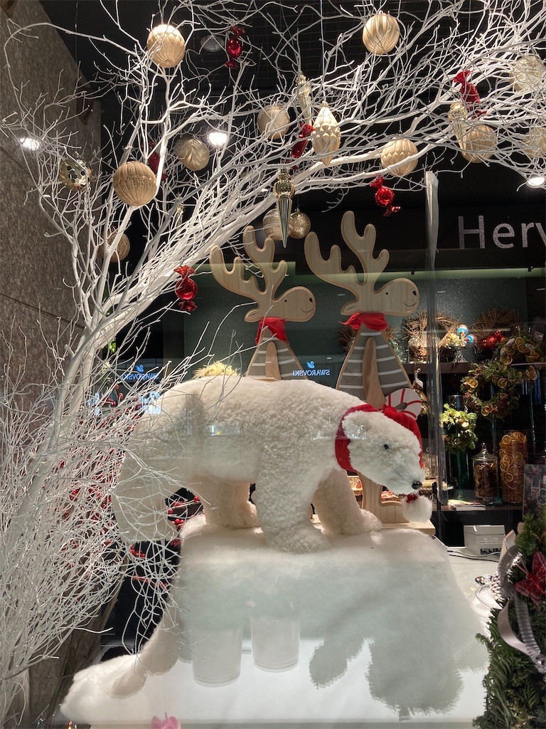 f:id:Magnoliarida:20211210003113j:image f:id:Magnoliarida:20211210003113j:image