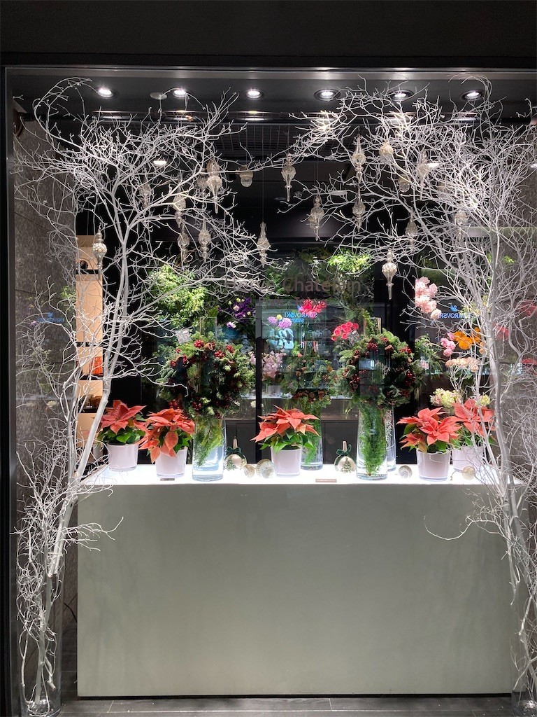 f:id:Magnoliarida:20211210003116j:image f:id:Magnoliarida:20211210003116j:image