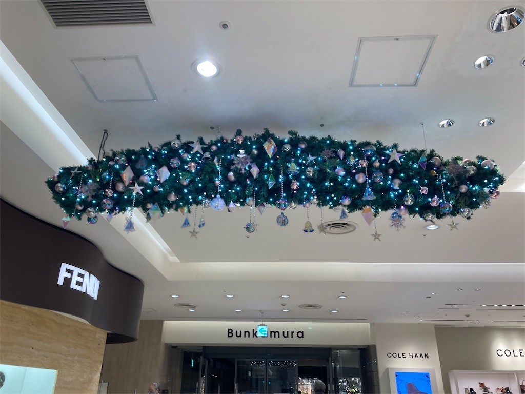 f:id:Magnoliarida:20211210003119j:image f:id:Magnoliarida:20211210003119j:image