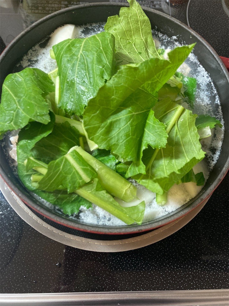 f:id:Magnoliarida:20211227084458j:image