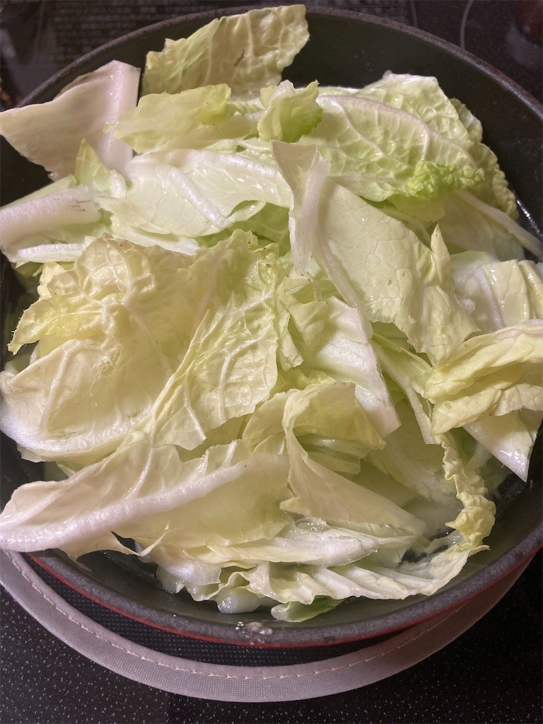 f:id:Magnoliarida:20220104094737j:image