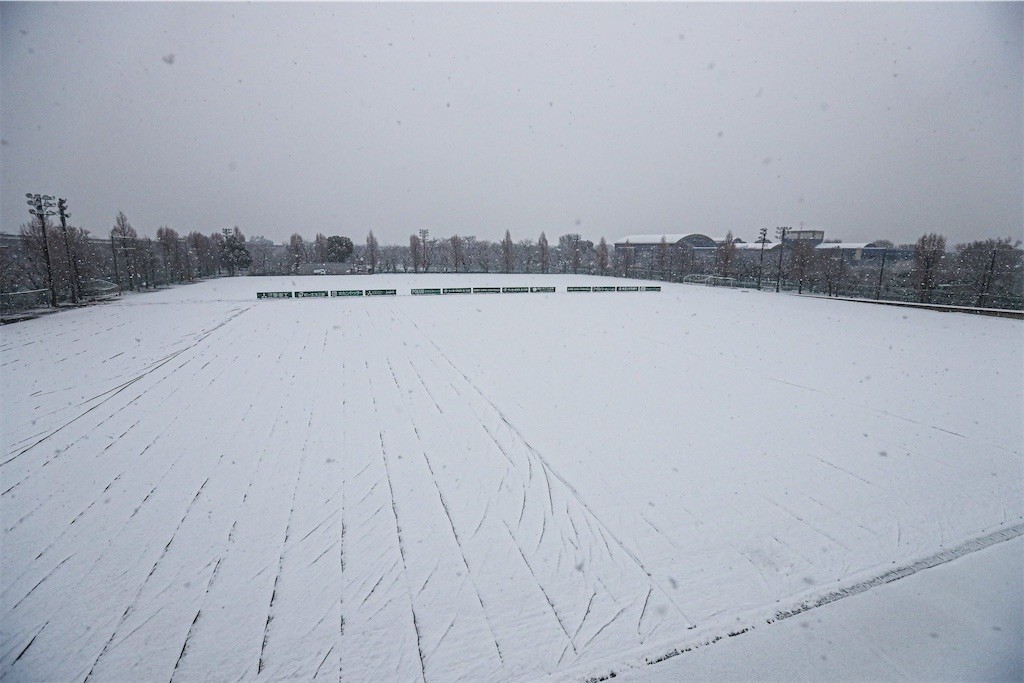 f:id:Magnoliarida:20220106161607j:image f:id:Magnoliarida:20220106161607j:image