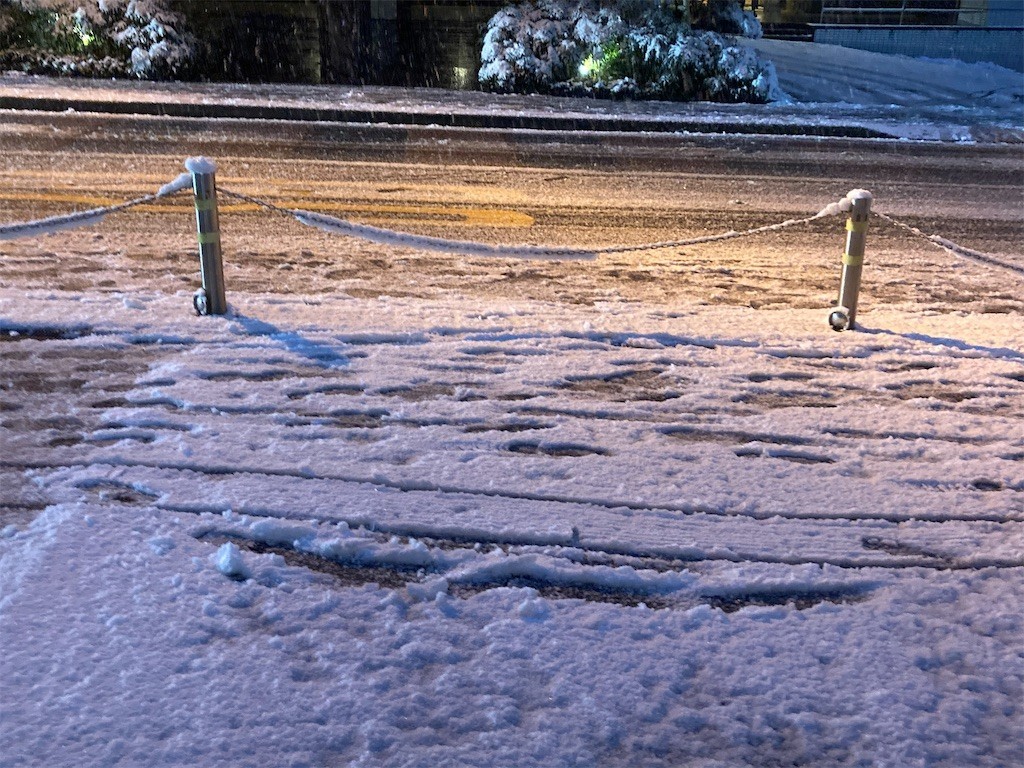 f:id:Magnoliarida:20220106170503j:image f:id:Magnoliarida:20220106170503j:image