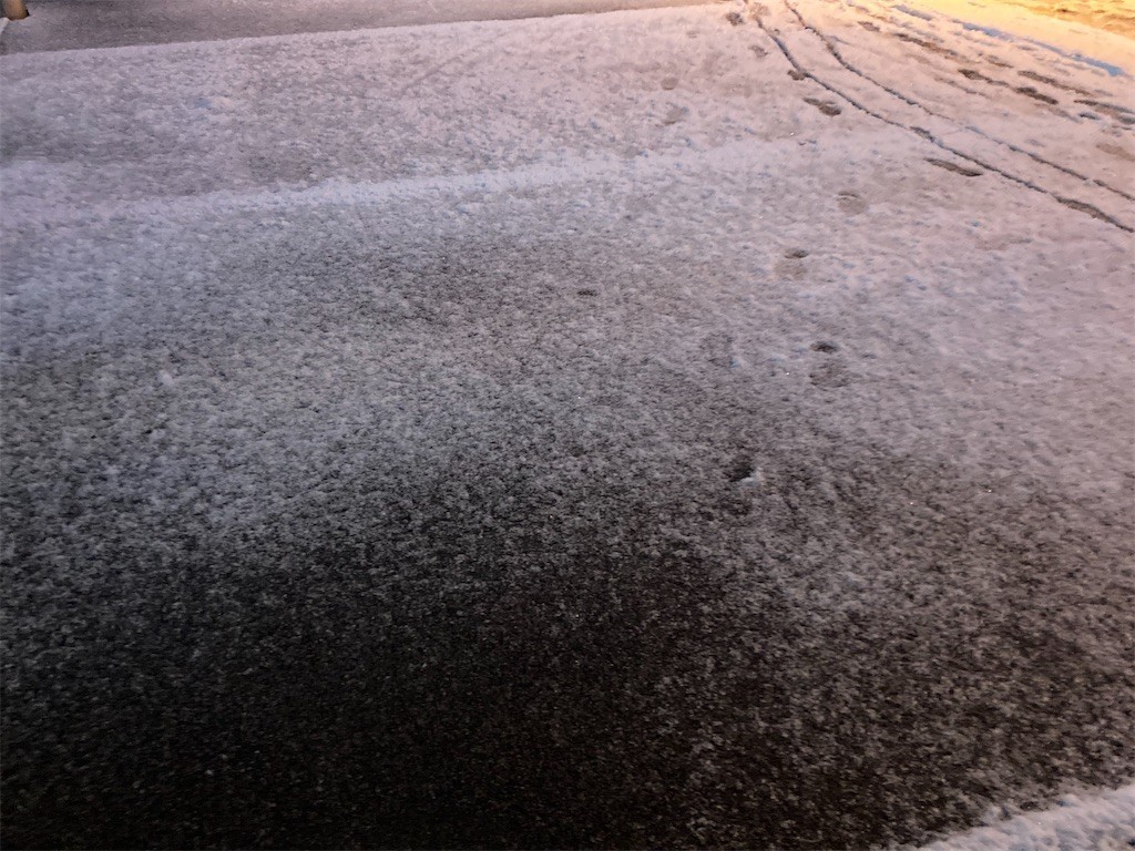 f:id:Magnoliarida:20220106170506j:image f:id:Magnoliarida:20220106170506j:image