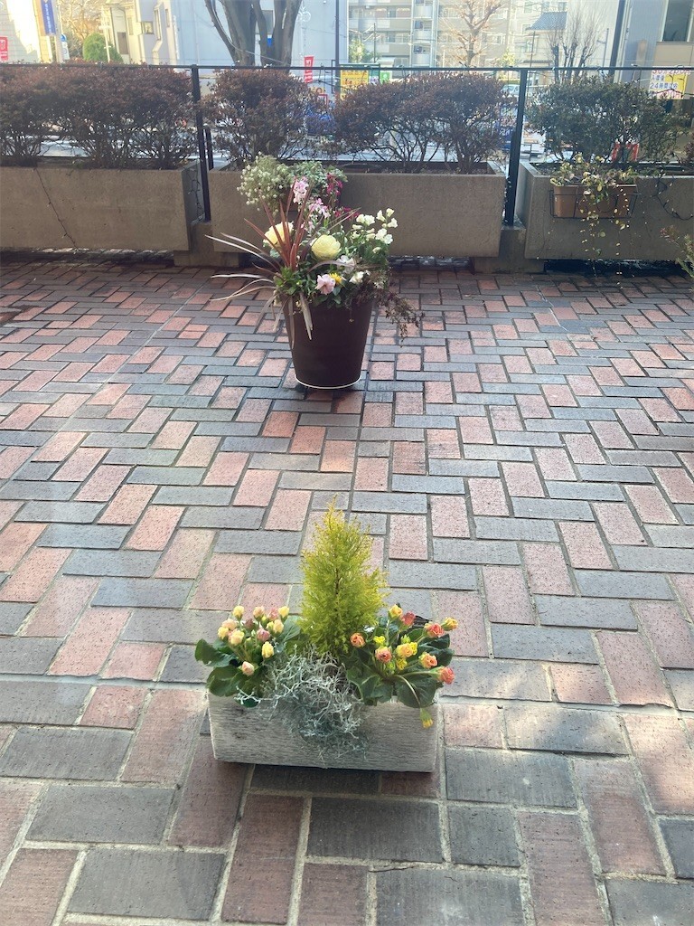 f:id:Magnoliarida:20220116194042j:image f:id:Magnoliarida:20220116194042j:image