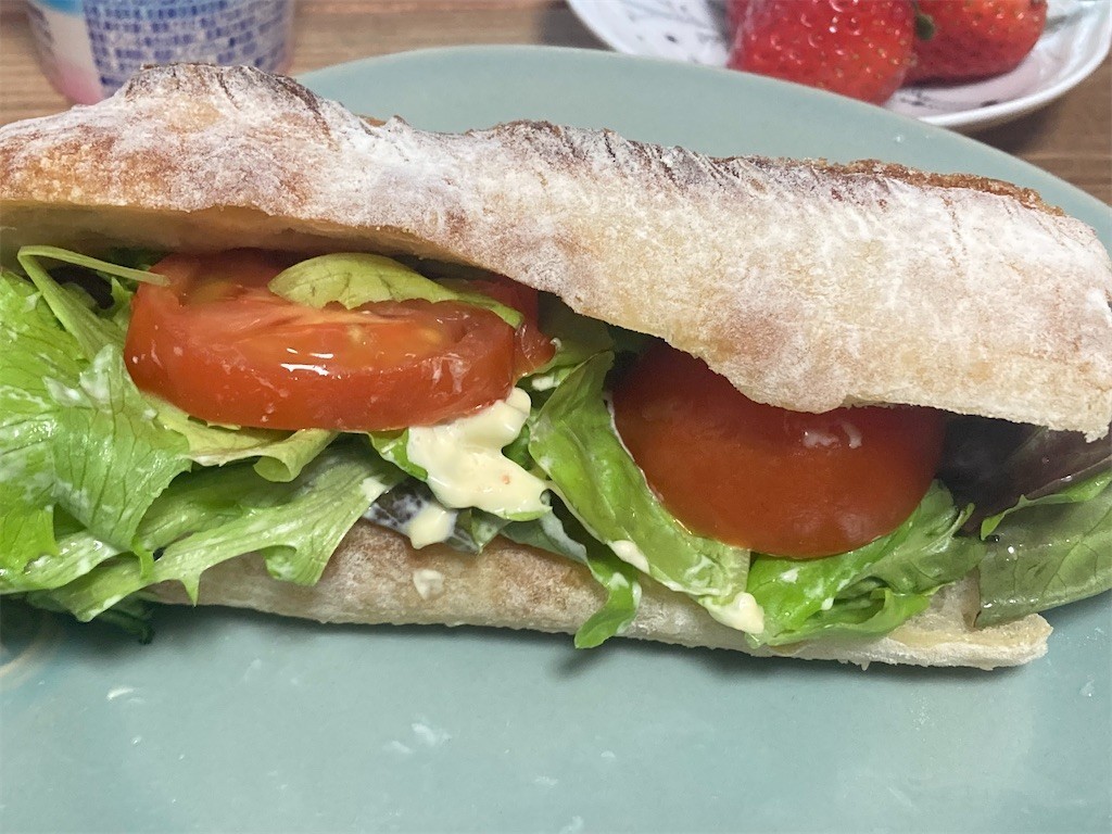 f:id:Magnoliarida:20220120082917j:image