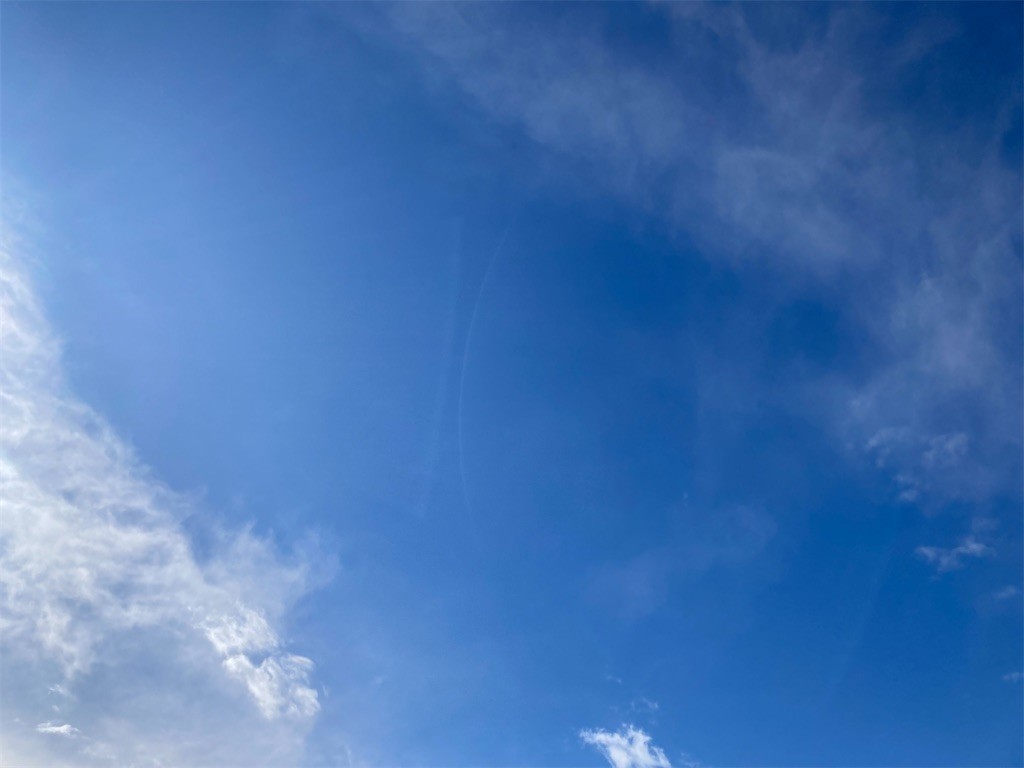 f:id:Magnoliarida:20220205172252j:image f:id:Magnoliarida:20220205172252j:image