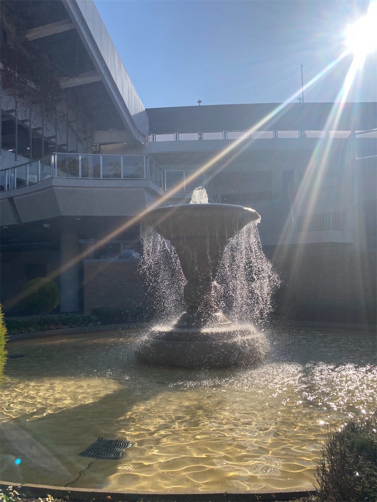 f:id:Magnoliarida:20220213020334j:image