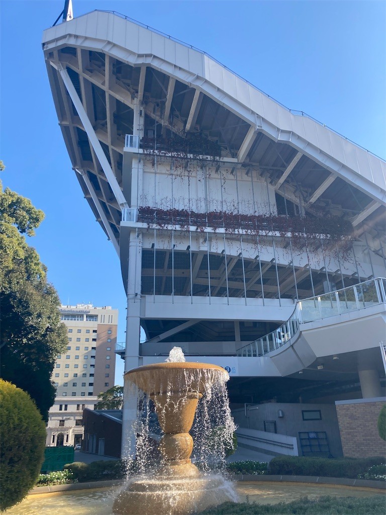 f:id:Magnoliarida:20220213020340j:image