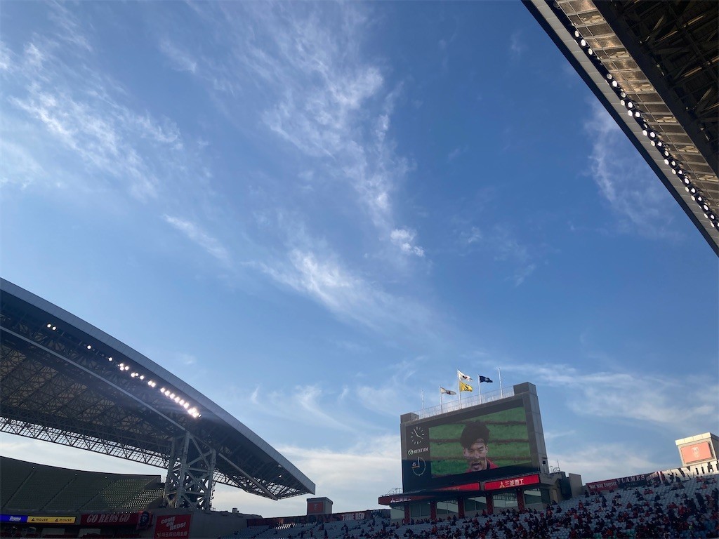 f:id:Magnoliarida:20220226214809j:image f:id:Magnoliarida:20220226214809j:image