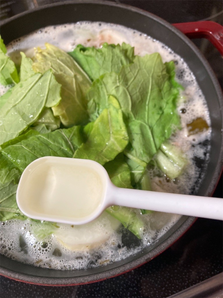 f:id:Magnoliarida:20220309085834j:image f:id:Magnoliarida:20220309085834j:image