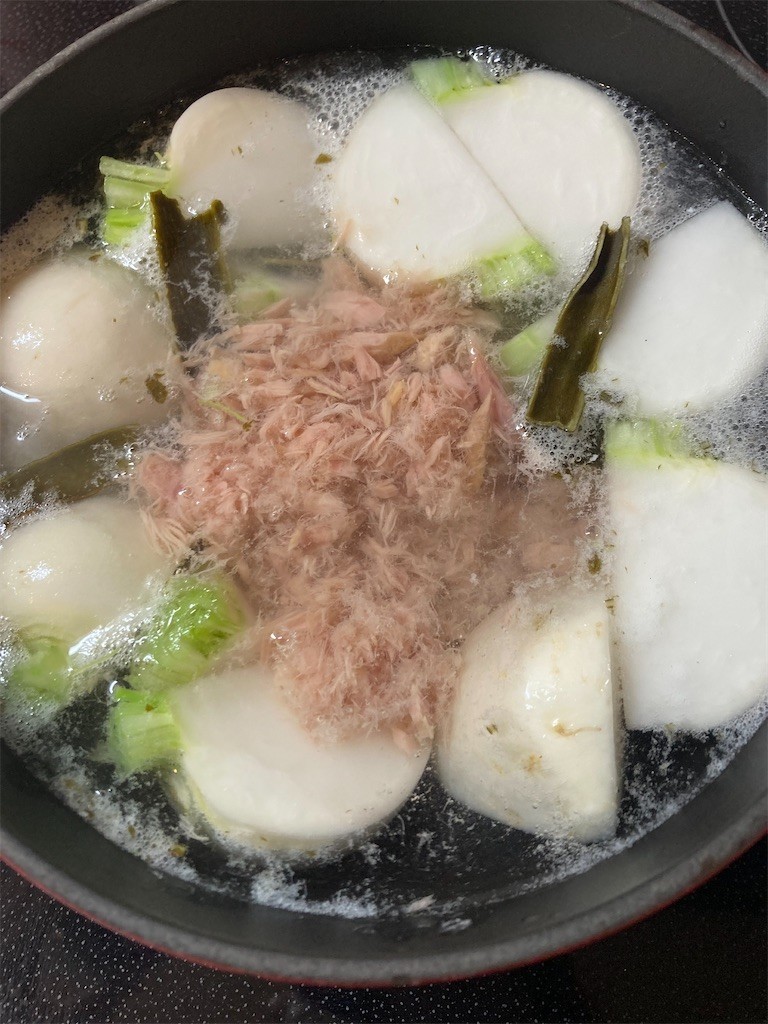 f:id:Magnoliarida:20220309085837j:image f:id:Magnoliarida:20220309085837j:image