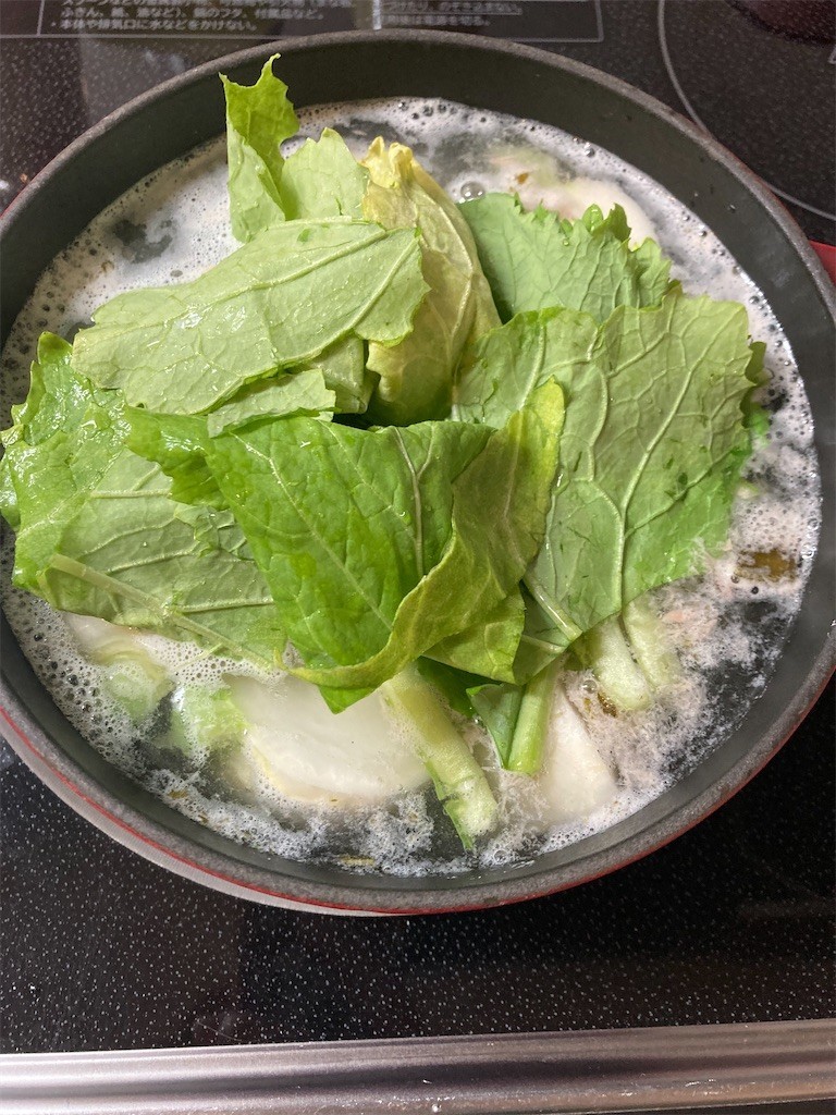 f:id:Magnoliarida:20220309085841j:image f:id:Magnoliarida:20220309085841j:image