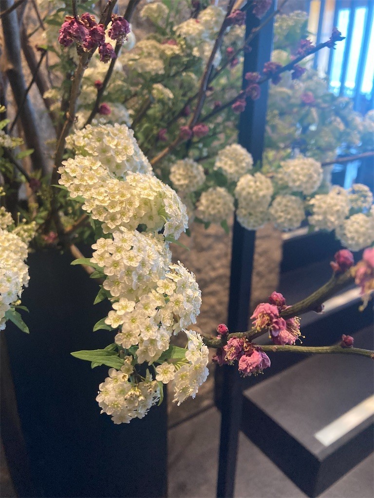 f:id:Magnoliarida:20220311225500j:image f:id:Magnoliarida:20220311225500j:image