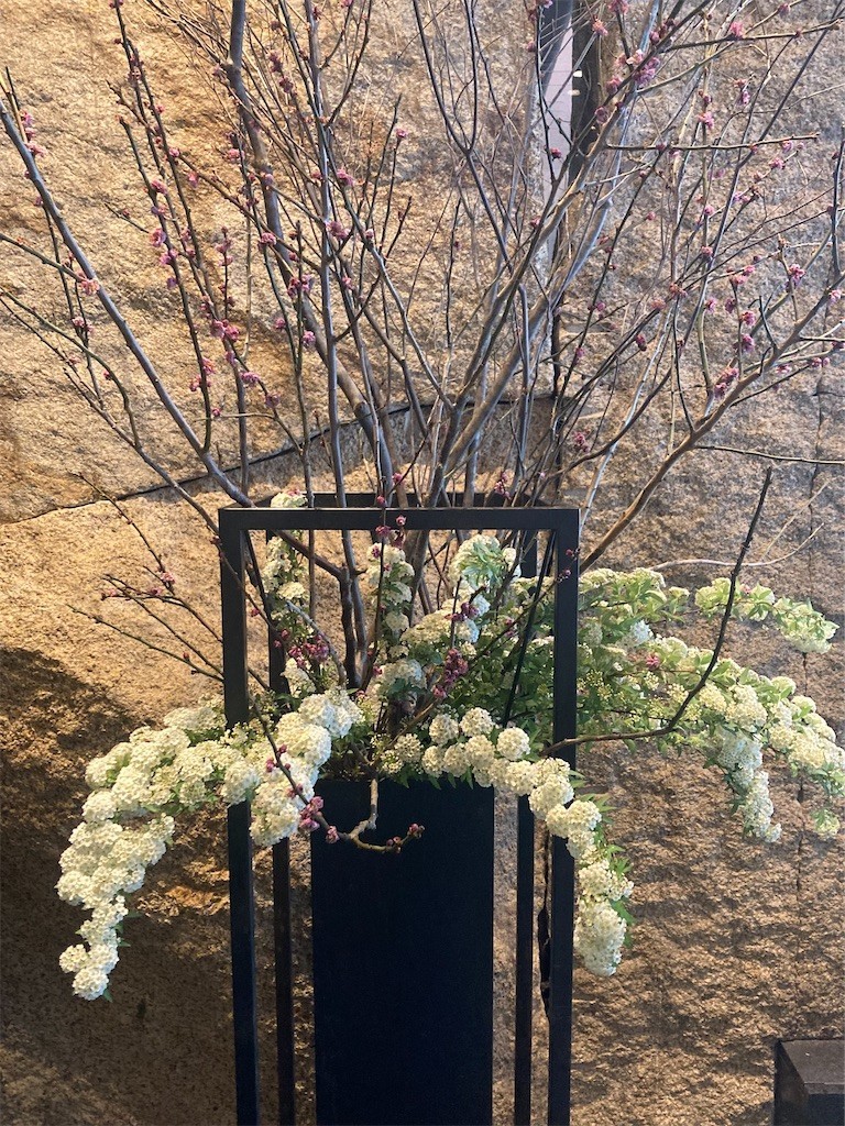 f:id:Magnoliarida:20220311225504j:image f:id:Magnoliarida:20220311225504j:image