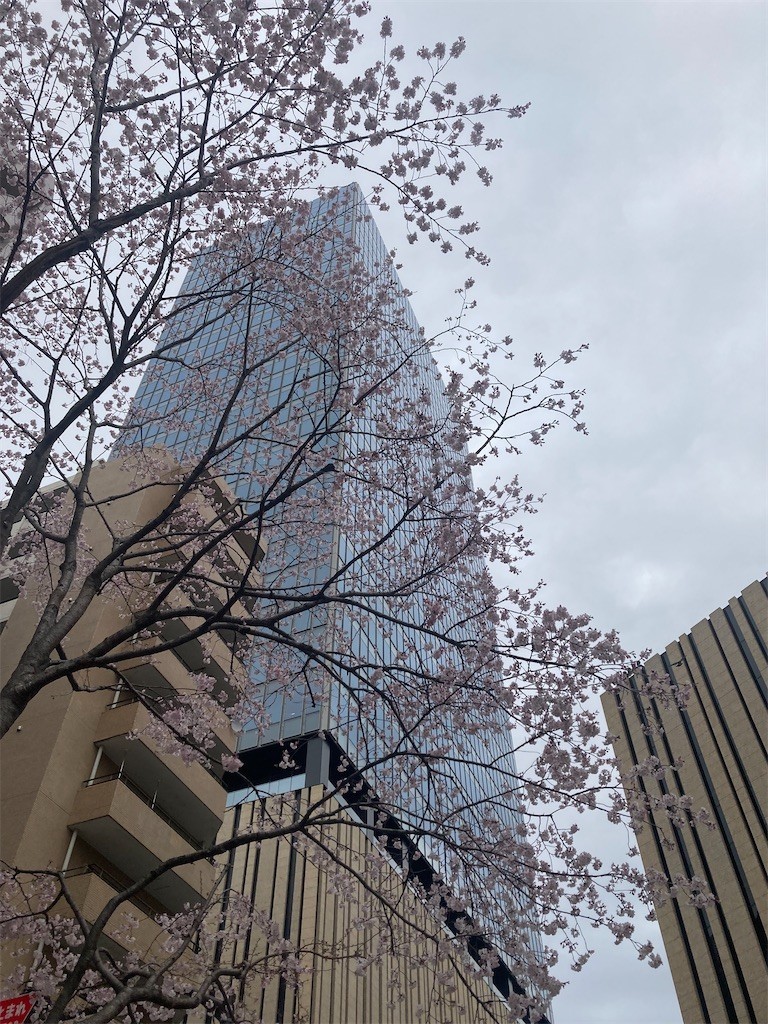 f:id:Magnoliarida:20220327233647j:image f:id:Magnoliarida:20220327233647j:image