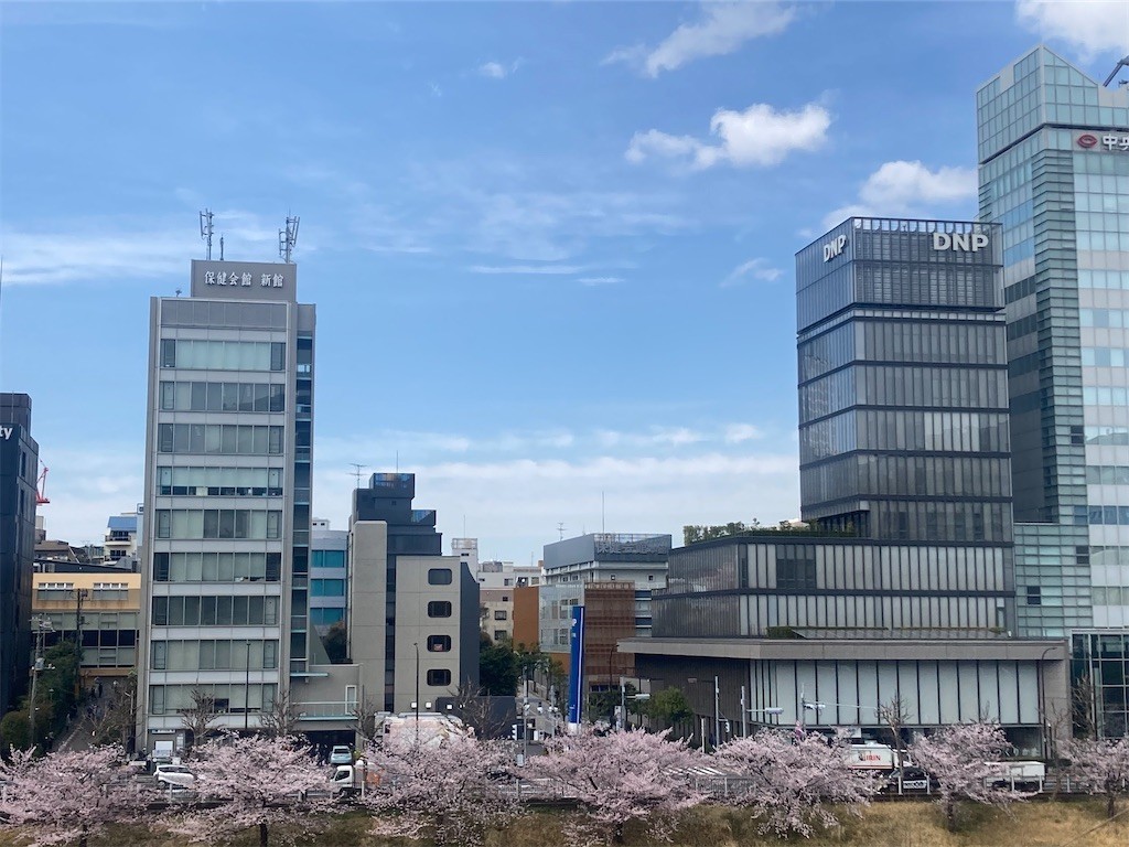 f:id:Magnoliarida:20220401160816j:image