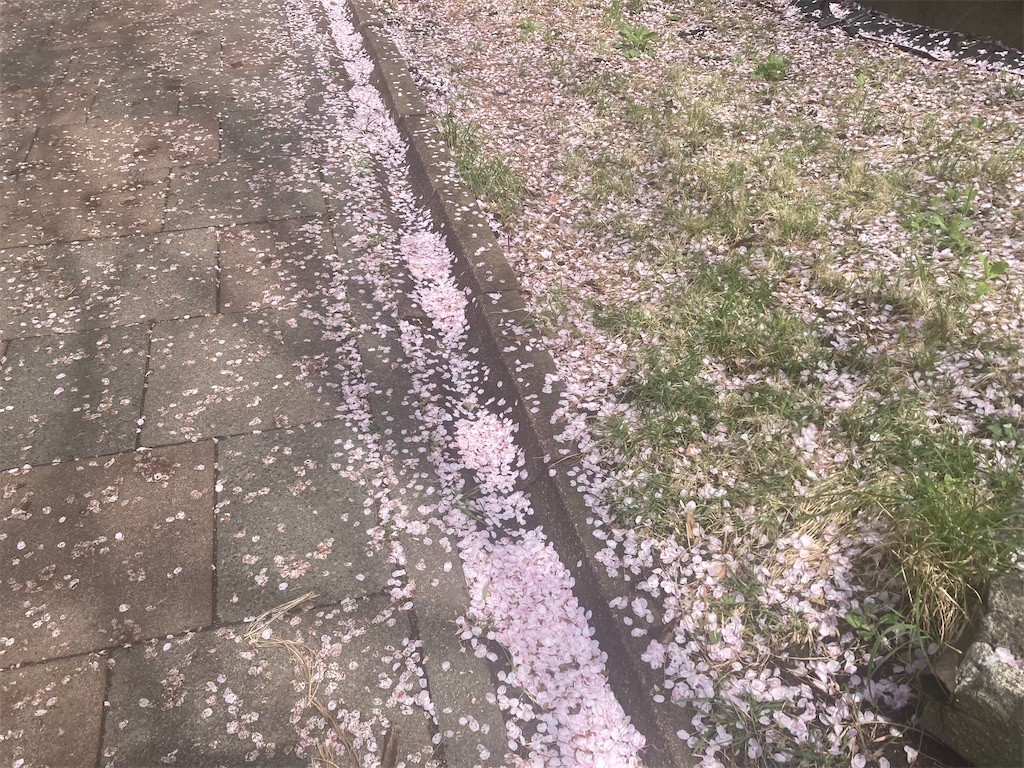 f:id:Magnoliarida:20220401160819j:image